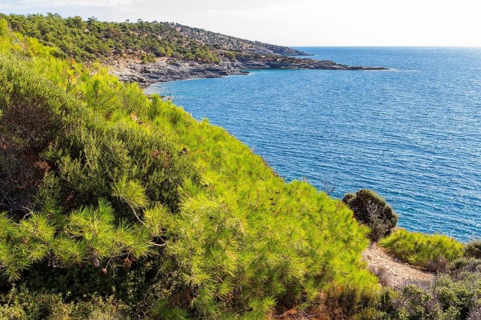 © freepixels_com / Pixabay